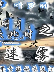 葉羅麗：迷蒙