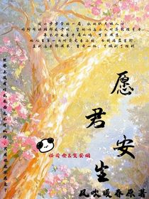 愿君安生