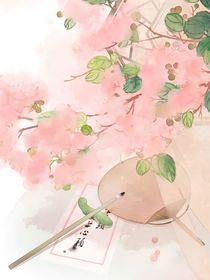 蓮花樓：桑花的日常