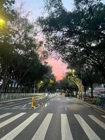 春不約