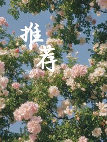 推薦：