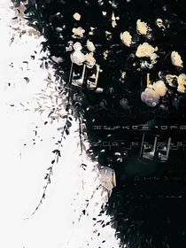 眸冬葬春