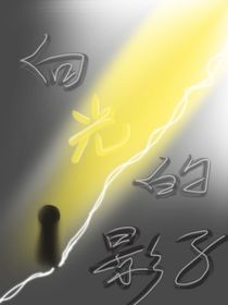 向光的影子