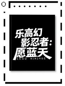樂高幻影忍者：愿藍(lán)天