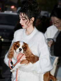 周深：南風(fēng)深知我意