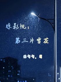 綜影視：第三片雪花