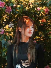 綜影視：女主她如此多嬌