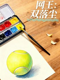 網(wǎng)王：雙落塵