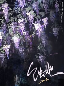 紫藤殉拍
