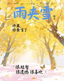 ——雨夹雪