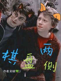 （hp羅哈rwhp）棋盤兩側(cè)