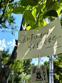 暖喂