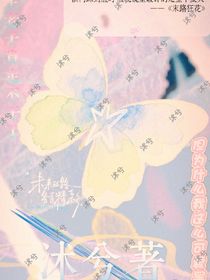 幻影之燕