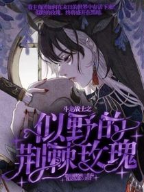 斗龍戰(zhàn)士之似野的荊棘玫瑰