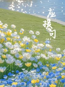 應援句：