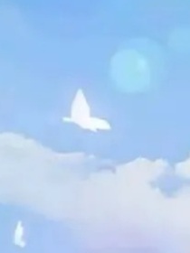 愿来世，世界能对我好一点