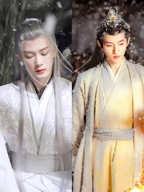 綜影視：我為女配完成心愿
