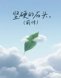 堅(jiān)硬的石頭（前傳）