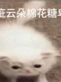 凹凸：這都啥啊