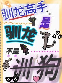 馴龍高手：是馴龍，不是訓(xùn)狗