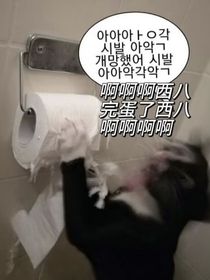 韓娛：擺爛野心家