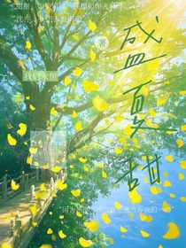盛夏甜