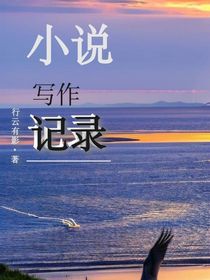小說寫作記錄
