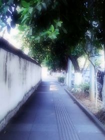 阿鹽的隨筆集