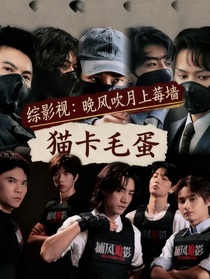 綜影視：晚風吹月上莓墻