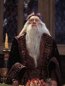 HP：當(dāng)我見(jiàn)到一只貓頭鷹