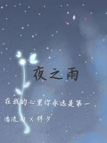 夜之雨