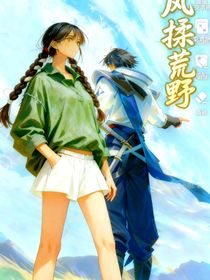 王者榮耀，野風(fēng)漫記