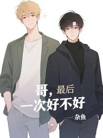 哥，最后一次好不好