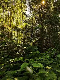 褪去青澀（未開寫）