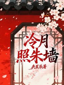 冷月照朱墻