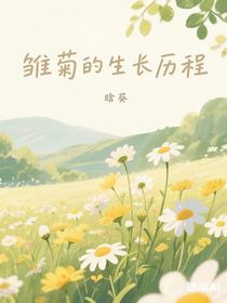雛菊的生長歷程