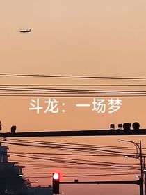 斗龍：一場(chǎng)夢(mèng)