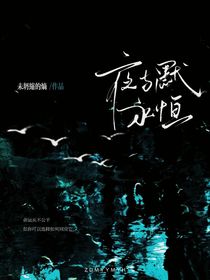綜盜墓：夜與默永恒