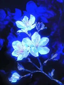 野墨生花