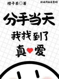 分手當(dāng)天我找到了真愛