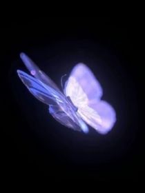 梔梔見我意
