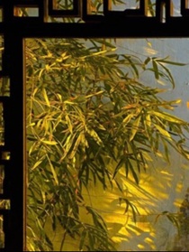 名士風(fēng)華：亂世長(zhǎng)歌