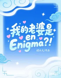 我的老婆是Enigma？！