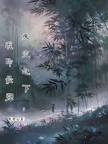 天災(zāi)之下，我即最強(qiáng)