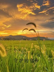 守護(hù)的使命