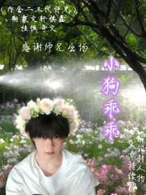 小狗，乖乖