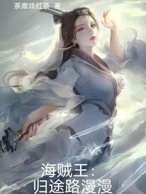 海賊王之歸途路漫漫