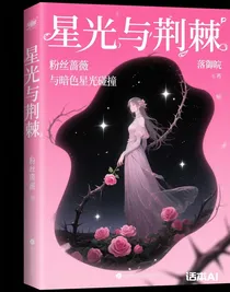 雙團記：星光與荊棘