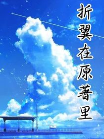 折翼在原著里