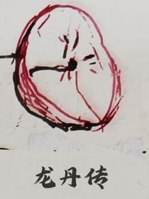龍丹傳